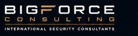 BIGFORCE CONSULTING
